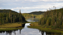 Water Landscapes Trees forests