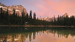 Water Landscapes Trees forests