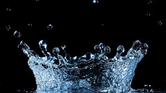 Water Landscapes water drops