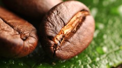 Water leaves macro Coffee