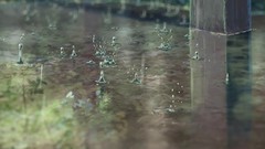 Water Makoto Shinkai water drops splashes the garden of words