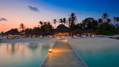Water Maldives palm trees Beaches resort