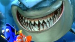 Water Movies Finding Nemo