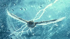 Water Movies storm Owls guardians Legend Of The Guardians