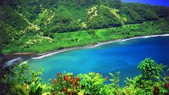 Water nature forests