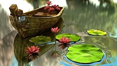 Water nature outdoors Boats