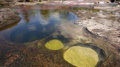 Water nature rivers Crystal