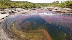Water nature rivers Crystal