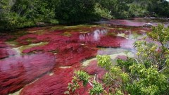 Water nature rivers Crystal