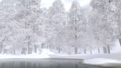 Water nature snow Trees