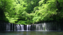 Water nature Trees waterfalls