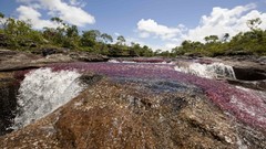 Water nature waterfalls rivers
