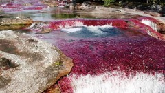Water nature waterfalls rivers