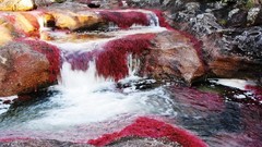 Water nature waterfalls rivers