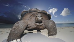 Water ocean clouds Landscapes