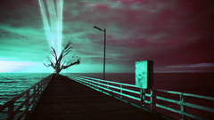 Water ocean Trees boardwalk