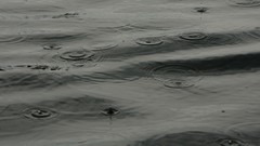 Water rain raindrops