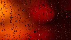 Water red wet water