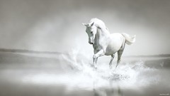 Water running White Horse