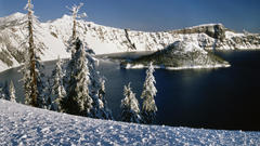 Water snow Trees snow