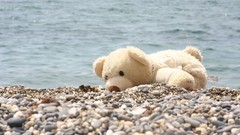 Water stuffed animals pebbles