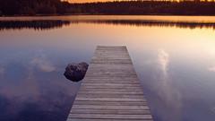 Water sunset Trees piers