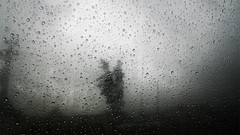 Water Trees rain glass