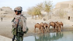 Water War Army soldiers oasis military patrol Camels infantry 