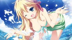 Water wet blondes anime girls game cg cleavage bikini Material 