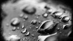 Water wet liquid water