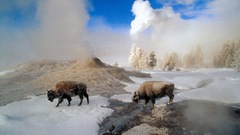 Water winter snow geysers