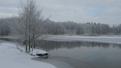 Water winter snow Trees