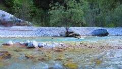 Water Wood rivers forests riverbed