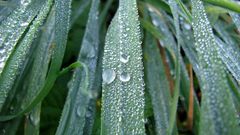 Waterdrops in Return post