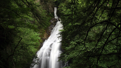 Waterfall woods