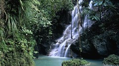 Waterfalls Jamaica forests