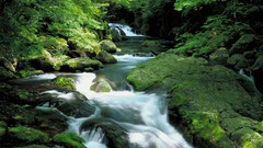 Waterfalls rocks rivers forests rapids