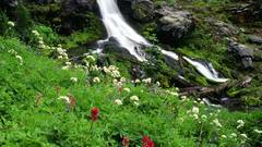 Waterfalls Washington Wildflowers
