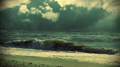 Waves are crashing nature