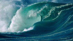 waves waveforms Sea water nature Turquoise outdoors