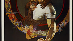 Way but high loose Which every Resolution befbd