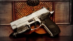 Weapons Elite pistols sig sauer Sig P226