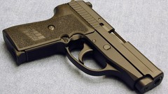 Weapons Guns Army pistols equipment