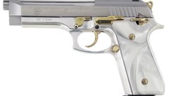 Weapons Guns handguns Taurus PT100