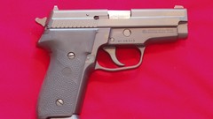 Weapons Guns SIG P229