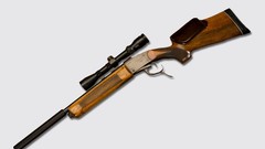 Weapons Rifles Powerful