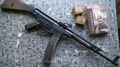 Weapons stg. 44 Rifles