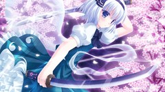 Weapons white hair Swords konpaku youmu touhou hair ornaments 