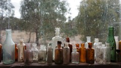 Web bottles decay cobb web grampians nex-5 sony nex 5