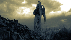 Weeping angel